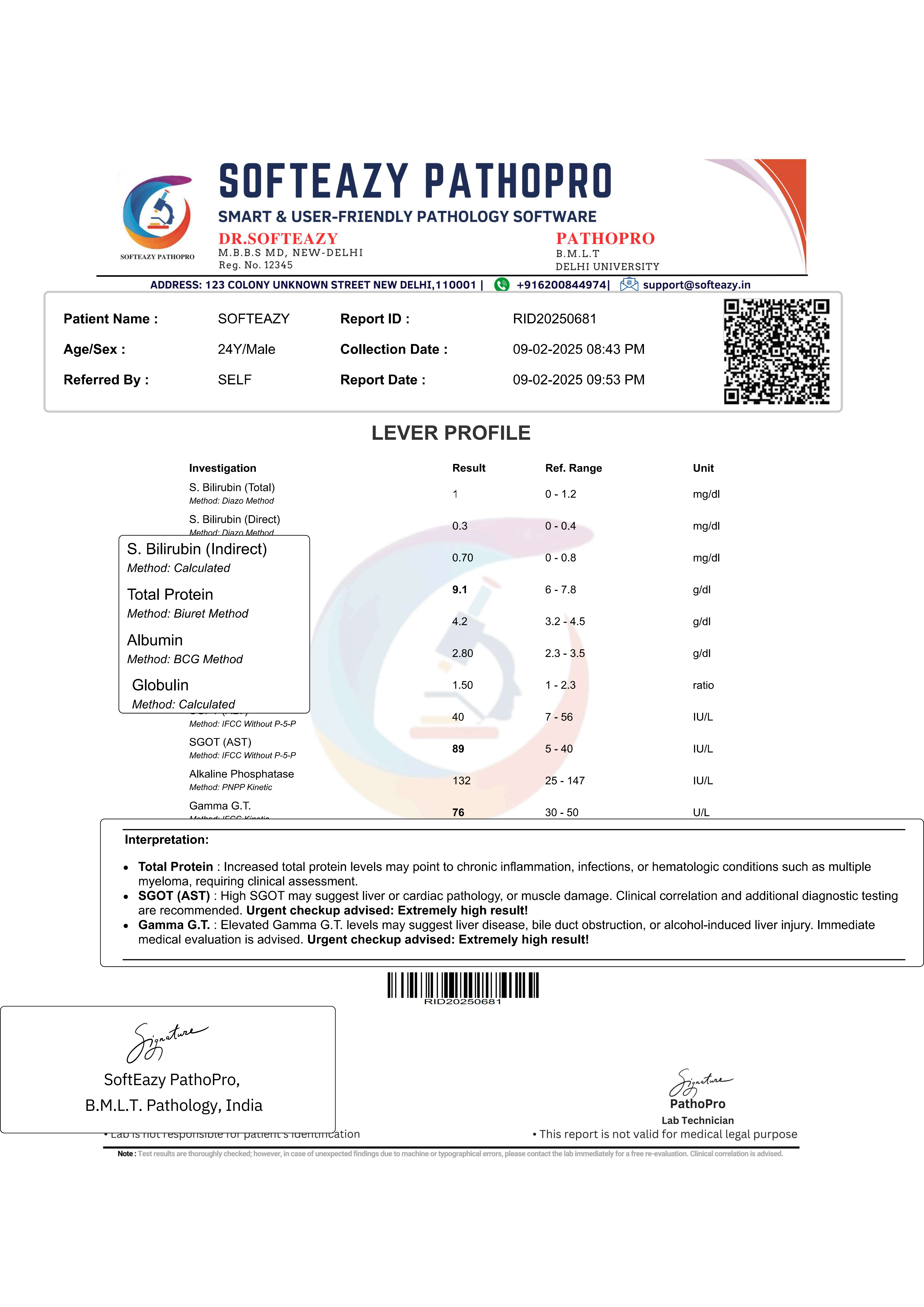 Report Format